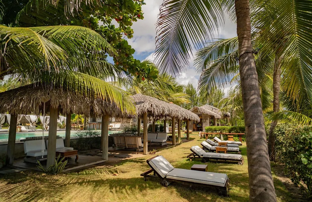 Zebra Boutique Hotel-1